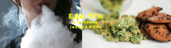 сатива Аркадак