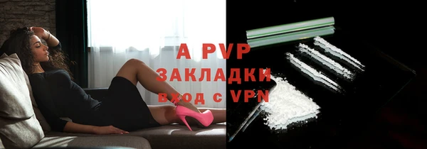сатива Аркадак