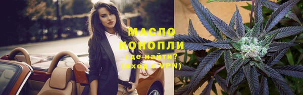 сатива Аркадак